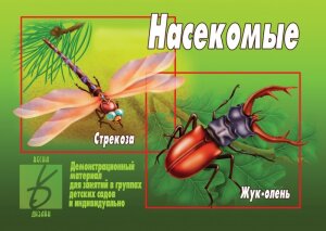 д-1216 «Насекомые»